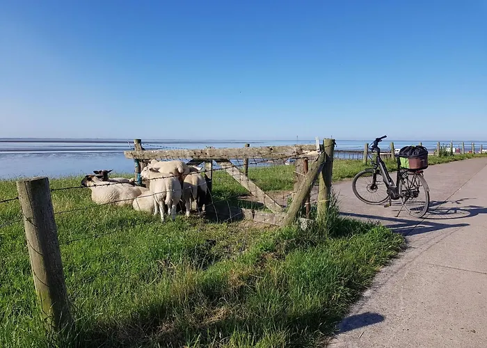 G13 Mit Garten Und Fahrradschuppen By Interhome * Großwürden